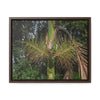 Rainforest Trails & Views - Gallery Canvas Wraps, Horizontal Frame - El Yunque National Forest - Puerto Rico - A close view of the Sierra Palm tree