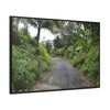 Rainforest Trails & Views - Gallery Canvas Wraps, Horizontal Frame - El Yunque National Forest - Puerto Rico - View from PR191 closed forest road - Green Forest Home