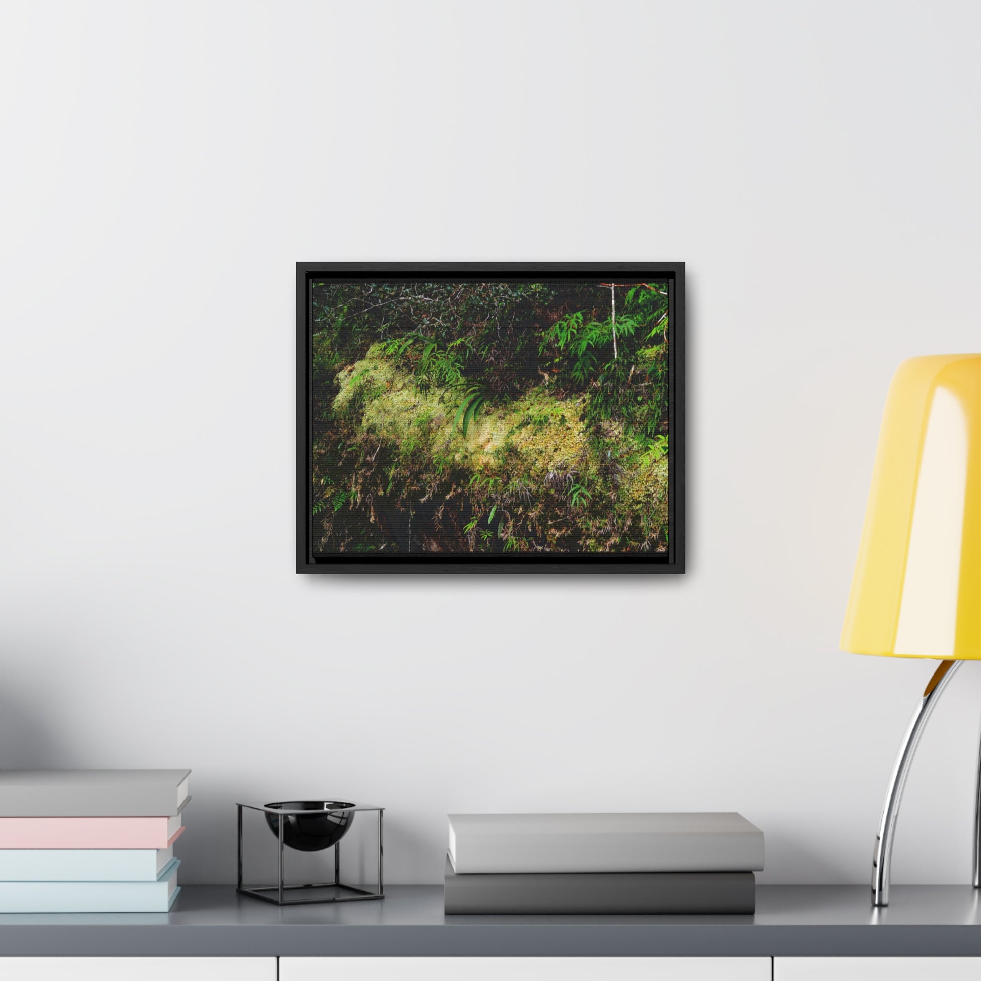 Rainforest Trails & Views - Gallery Canvas Wraps, Horizontal Frame - El Yunque National Forest - PR - PR191 closed road - Huge Boulder with moss - Green Forest Home