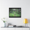 Rainforest Trails & Views - Gallery Canvas Wraps, Horizontal Frame - El Yunque National Forest - Tradewinds trail - cloud forest - Green Forest Home