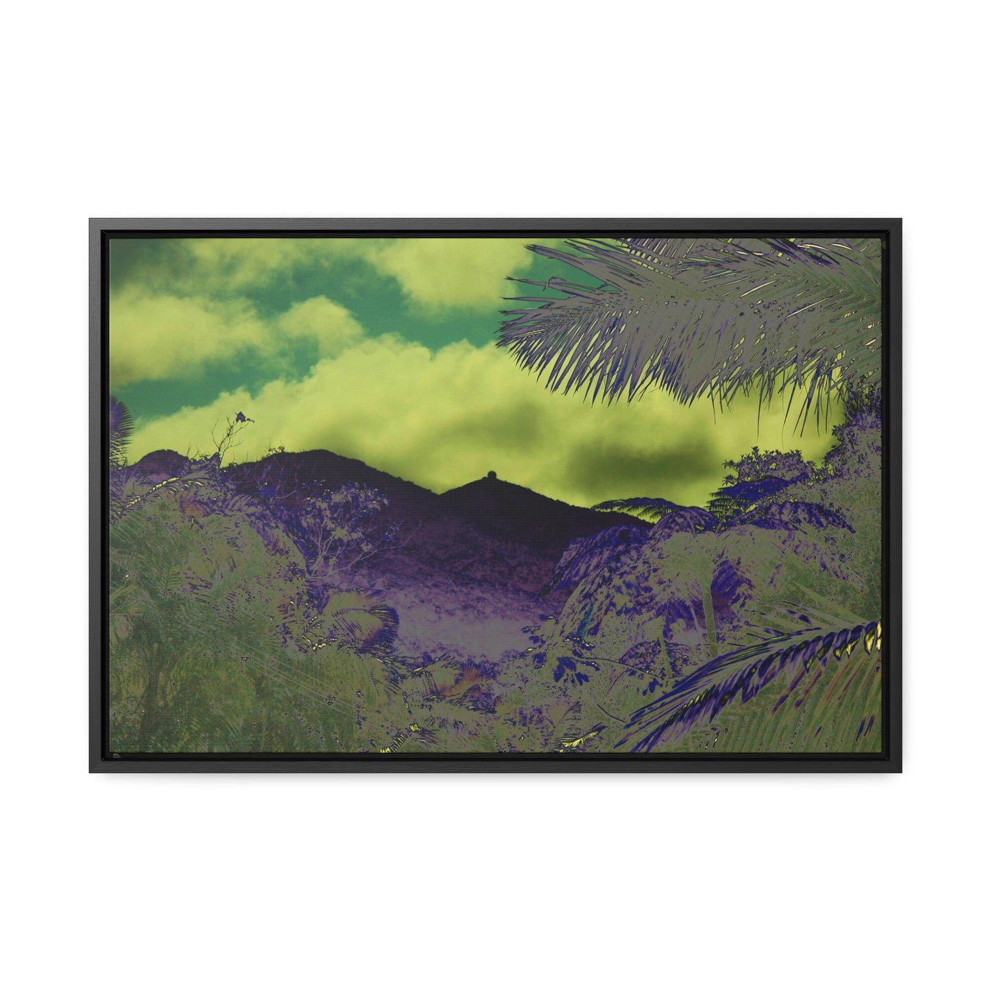 Rainforest Trails & Views - Gallery Canvas Wraps, Horizontal Frame - El Yunque National Forest - Puerto Rico - Mt Britton road view of Mt Britton - color enhanced - Green Forest Home