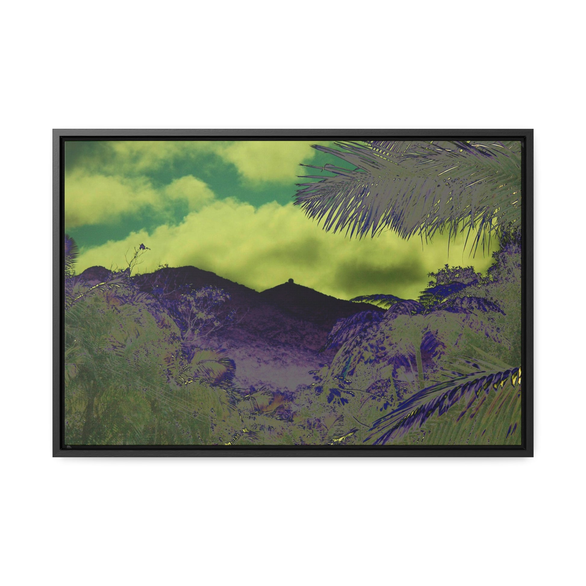 Rainforest Trails & Views - Gallery Canvas Wraps, Horizontal Frame - El Yunque National Forest - Puerto Rico - Mt Britton road view of Mt Britton - color enhanced - Green Forest Home