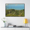 Rainforest Trails & Views - Gallery Canvas Wraps, Horizontal Frame - El Yunque National Forest - Puerto Rico - View from Tres Picachos - El Yunque Trail - Green Forest Home