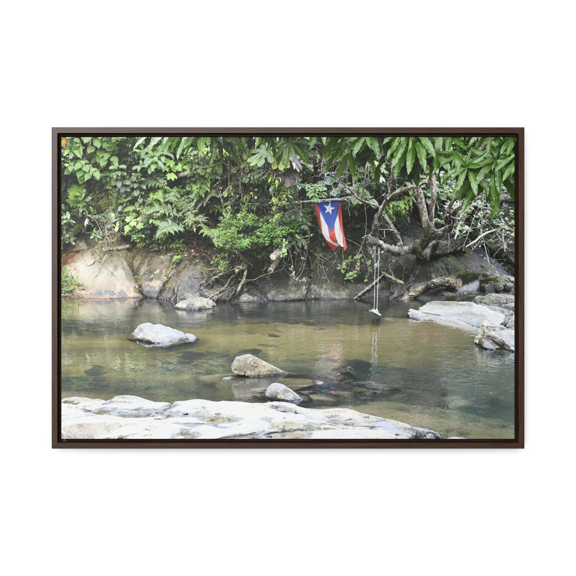 Rainforest Trails & Views - Gallery Canvas Wraps, Horizontal Frame - El Yunque National Forest - Rio Sabana Park and pond - Green Forest Home