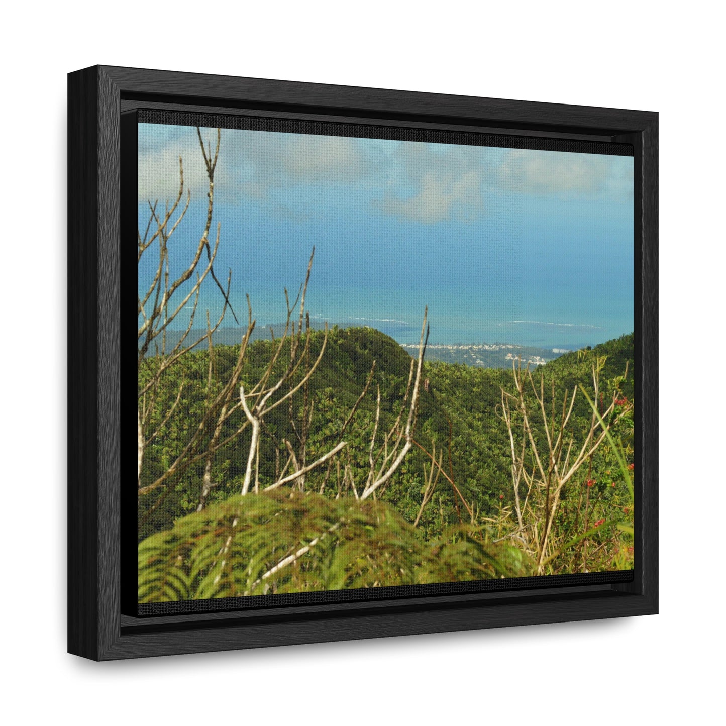 Rainforest Trails & Views - Gallery Canvas Wraps, Horizontal Frame - El Yunque National Forest - Puerto Rico - View from Tres Picachos - El Yunque Trail - Green Forest Home