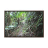 Rainforest Trails & Views - Gallery Canvas Wraps, Horizontal Frame - El Yunque National Forest - Puerto Rico - Early Tradewinds trail - Green Forest Home