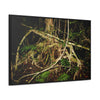 Rainforest Trails & Views - Gallery Canvas Wraps, Horizontal Frame - El Yunque National Forest - Puerto Rico - Tradewinds trail weird trees - Green Forest Home