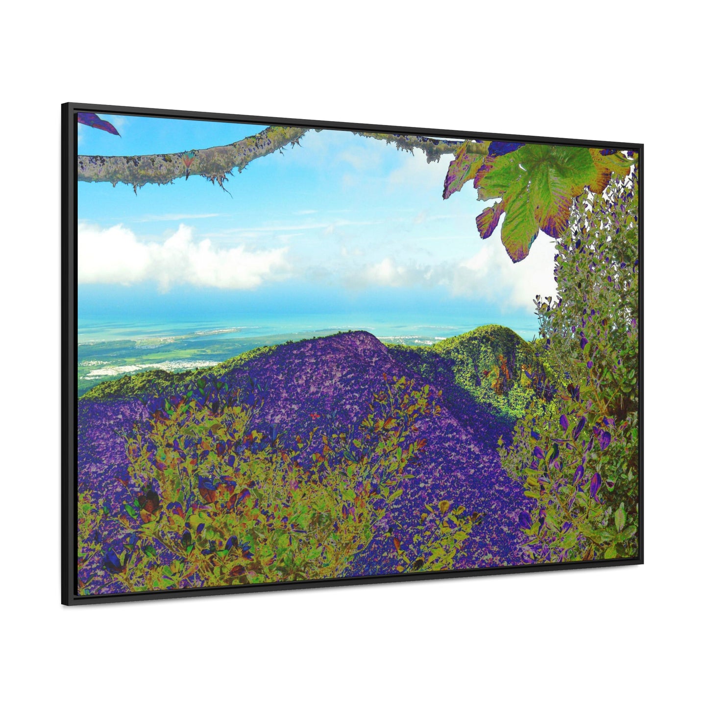 Rainforest Trails & Views - Gallery Canvas Wraps, Horizontal Frame - El Yunque National Forest - Puerto Rico - View from Tres Picachos - color enhanced - Green Forest Home