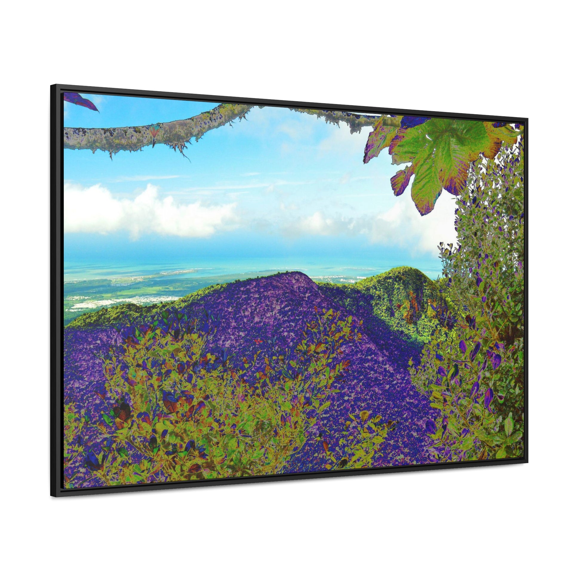 Rainforest Trails & Views - Gallery Canvas Wraps, Horizontal Frame - El Yunque National Forest - Puerto Rico - View from Tres Picachos - color enhanced - Green Forest Home