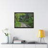 Rainforest Trails & Views - Gallery Canvas Wraps, Horizontal Frame - El Yunque National Forest - Puerto Rico - Closed PR191 forested road - Green Forest Home