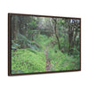 Rainforest Trails & Views - Gallery Canvas Wraps, Horizontal Frame - El Yunque National Forest - Tradewinds trail - cloud forest - Green Forest Home