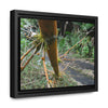 Rainforest Trails & Views - Gallery Canvas Wraps, Horizontal Frame - El Yunque National Forest - Puerto Rico - PR191 Closed forest road with fallend bamboo - Green Forest Home