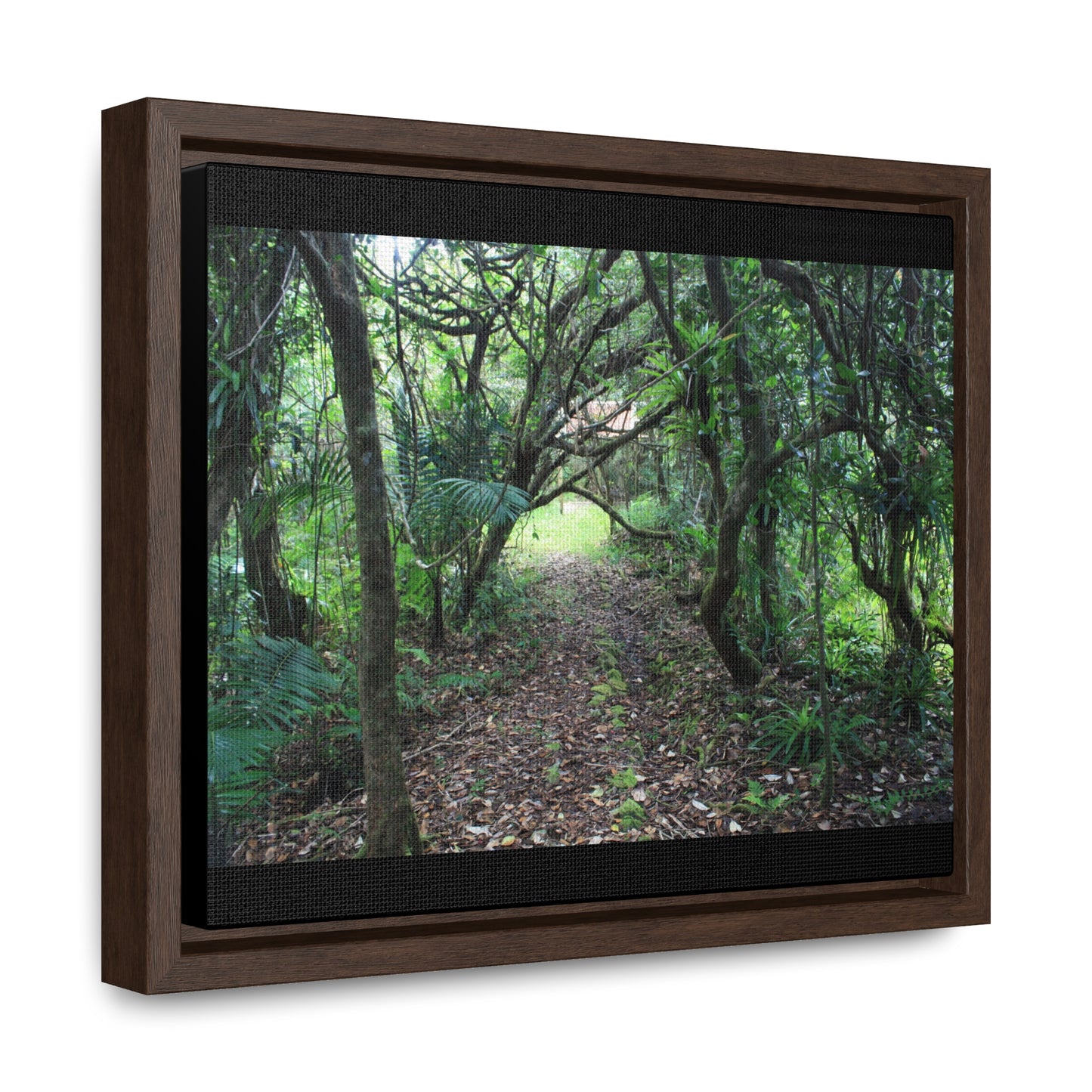 Rainforest Trails & Views - Gallery Canvas Wraps, Horizontal Frame - El Yunque National Forest - Puerto Rico - Tradewinds trail - cloud forest - Green Forest Home