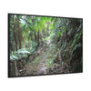 Rainforest Trails & Views - Gallery Canvas Wraps, Horizontal Frame - El Yunque National Forest - Puerto Rico - Early Tradewinds trail - Green Forest Home