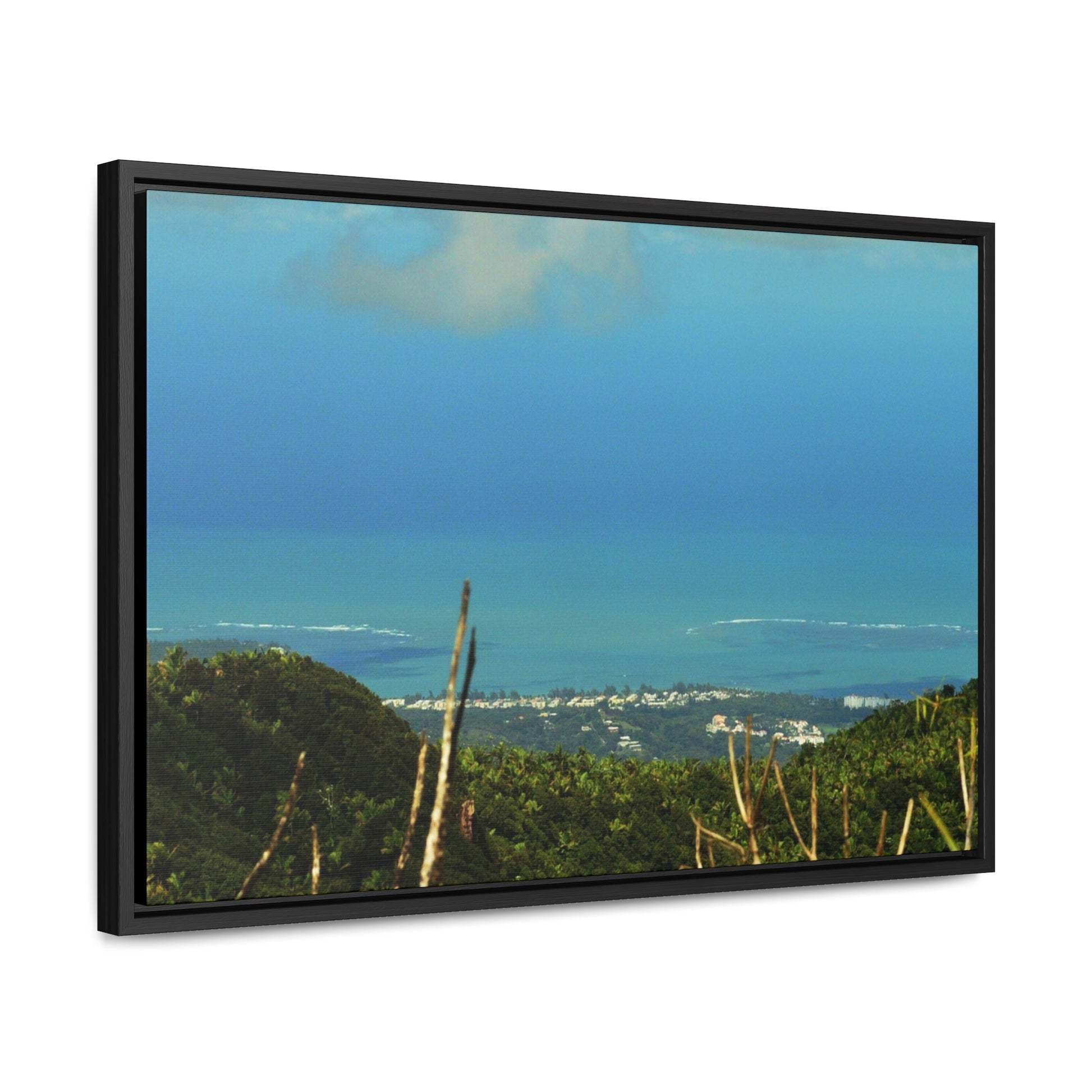 Rainforest Trails & Views - Gallery Canvas Wraps, Horizontal Frame - El Yunque National Forest - PR - Urbanization gets closer - view from Tres Picachos - Green Forest Home