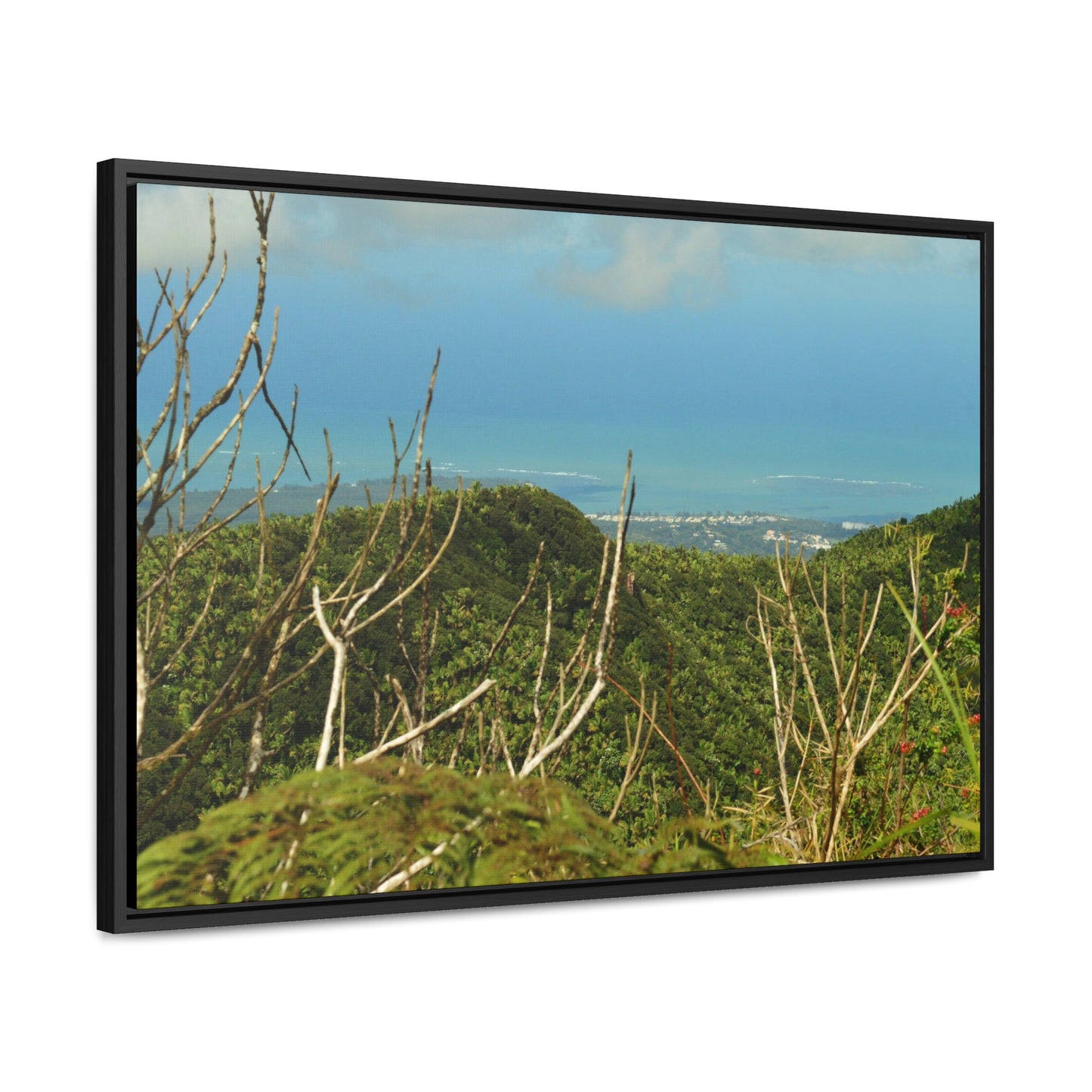 Rainforest Trails & Views - Gallery Canvas Wraps, Horizontal Frame - El Yunque National Forest - Puerto Rico - View from Tres Picachos - El Yunque Trail - Green Forest Home