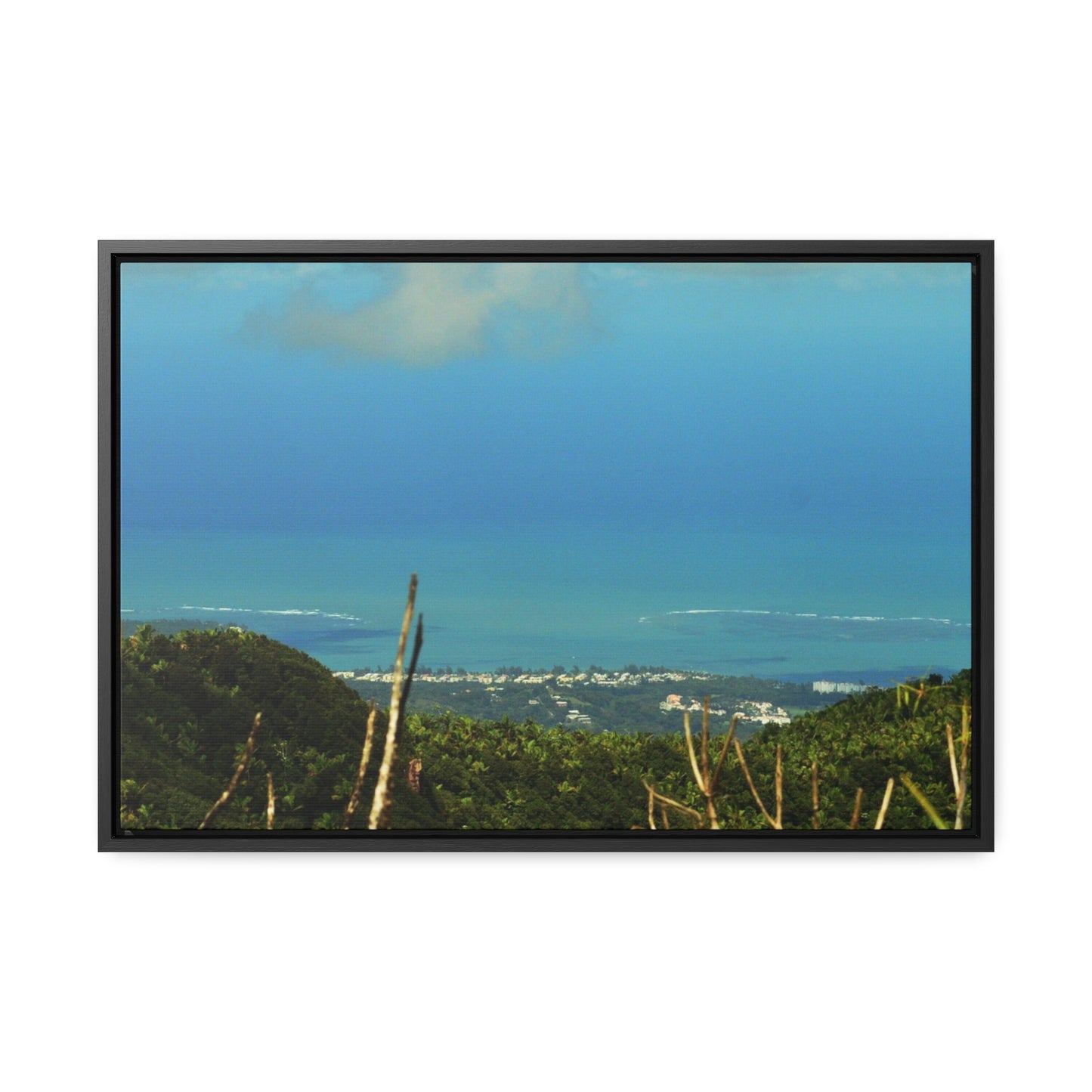 Rainforest Trails & Views - Gallery Canvas Wraps, Horizontal Frame - El Yunque National Forest - PR - Urbanization gets closer - view from Tres Picachos - Green Forest Home