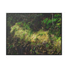 Rainforest Trails & Views - Gallery Canvas Wraps, Horizontal Frame - El Yunque National Forest - PR - PR191 closed road - Huge Boulder with moss - Green Forest Home