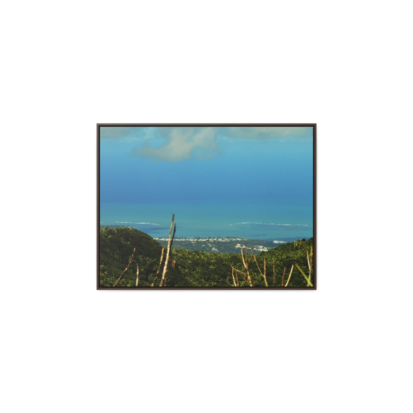 Rainforest Trails & Views - Gallery Canvas Wraps, Horizontal Frame - El Yunque National Forest - PR - Urbanization gets closer - view from Tres Picachos - Green Forest Home