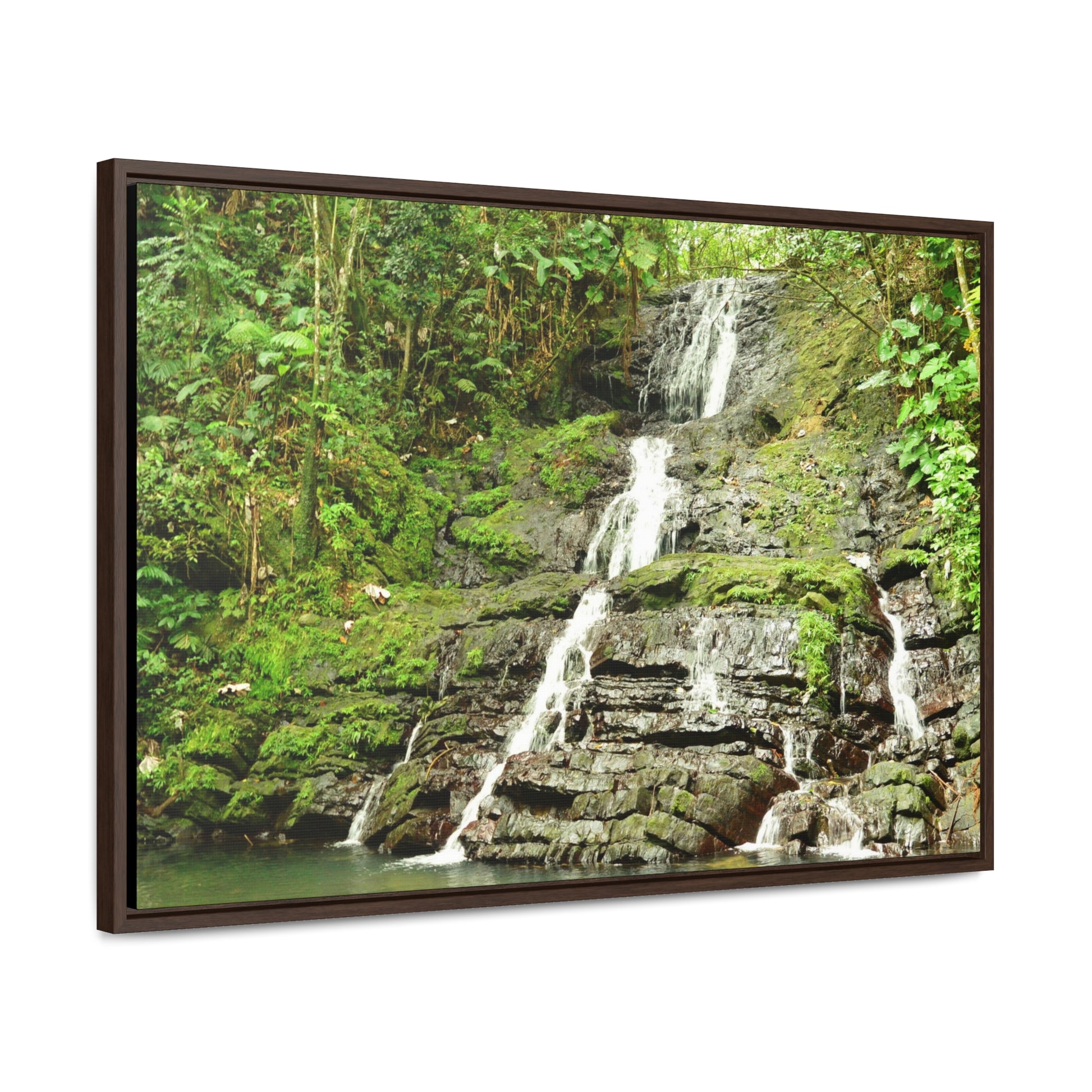 Rainforest Trails & Views - Gallery Canvas Wraps, Horizontal Frame - El Yunque National Forest - Puerto Rico - View from La Coca Trail - Green Forest Home