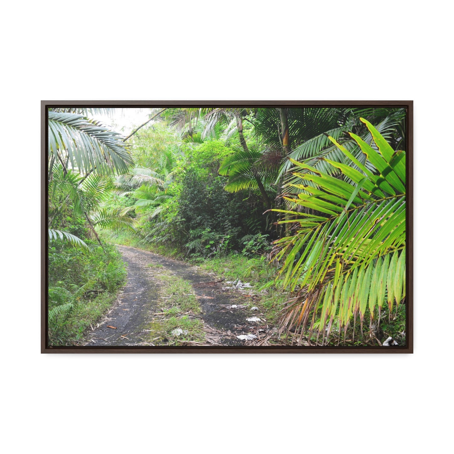 Rainforest Trails & Views - Gallery Canvas Wraps, Horizontal Frame - El Yunque National Forest - Puerto Rico - Closed PR191 road & landlside - Green Forest Home