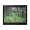 Rainforest Trails & Views - Gallery Canvas Wraps, Horizontal Frame - El Yunque National Forest - Tradewinds trail - cloud forest - Green Forest Home