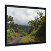 Rainforest Trails & Views - Gallery Canvas Wraps, Horizontal Frame - El Yunque National Forest - Puerto Rico - Closed PR191 forested road - Green Forest Home