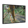 Rainforest Trails & Views - Gallery Canvas Wraps, Horizontal Frame - El Yunque National Forest - Puerto Rico - PR191 Closed forest road with fallend bamboo - Green Forest Home