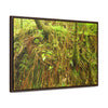 Rainforest Trails & Views - Gallery Canvas Wraps, Horizontal Frame - El Yunque National Forest - Puerto Rico - Deep forest explorations - reveal a boulder with 3 Sierra Palm red roots on it seeking the water level