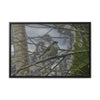 Rainforest Trails & Views - Gallery Canvas Wraps, Horizontal Frame - El Yunque National Forest - Puerto Rico - Color enhanced bird in Rio Sabana trail - Green Forest Home