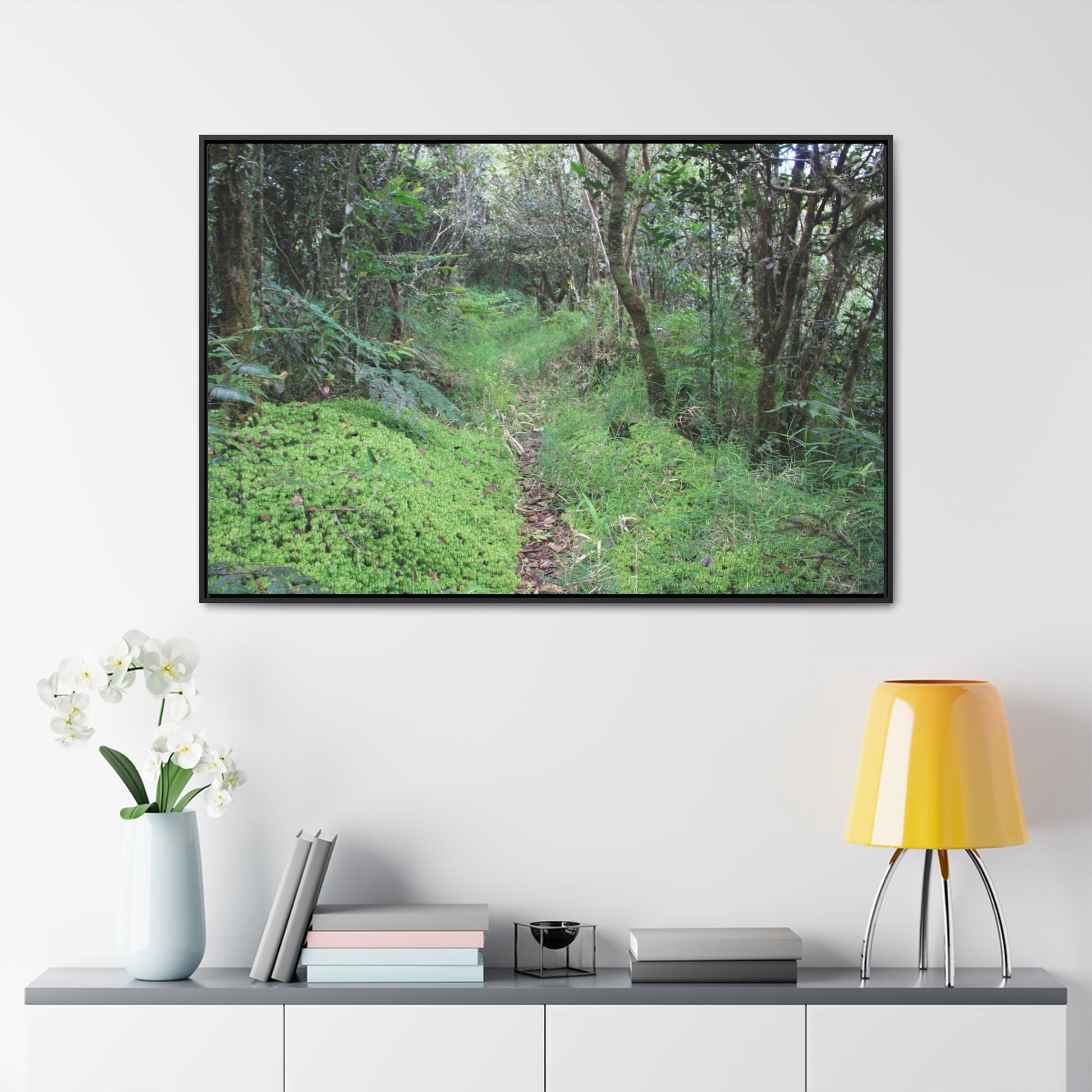 Rainforest Trails & Views - Gallery Canvas Wraps, Horizontal Frame - El Yunque National Forest - Tradewinds trail - cloud forest - Green Forest Home