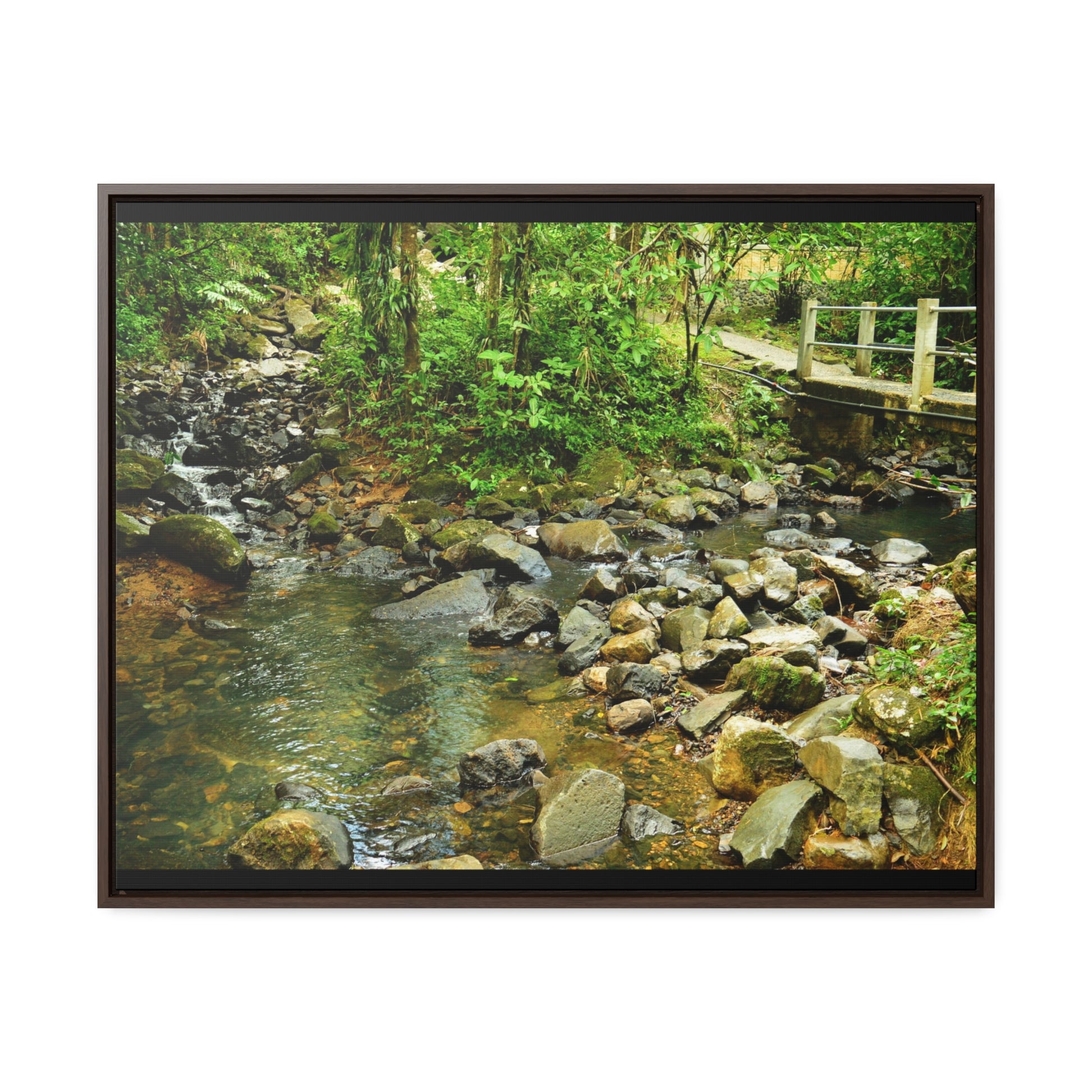 Rainforest Trails & Views - Gallery Canvas Wraps, Horizontal Frame - El Yunque National Forest - Puerto Rico - The Famous La Mina Trail & River - Green Forest Home