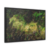 Rainforest Trails & Views - Gallery Canvas Wraps, Horizontal Frame - El Yunque National Forest - PR - PR191 closed road - Huge Boulder with moss - Green Forest Home