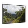 Rainforest Trails & Views - Gallery Canvas Wraps, Horizontal Frame - El Yunque National Forest - Puerto Rico - Closed PR191 forested road - Green Forest Home