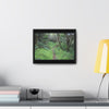 Rainforest Trails & Views - Gallery Canvas Wraps, Horizontal Frame - El Yunque National Forest - Tradewinds trail - cloud forest - Green Forest Home