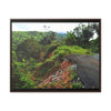 Rainforest Trails & Views - Gallery Canvas Wraps, Horizontal Frame - El Yunque National Forest - Puerto Rico - Closed PR191 road & landlside - Green Forest Home