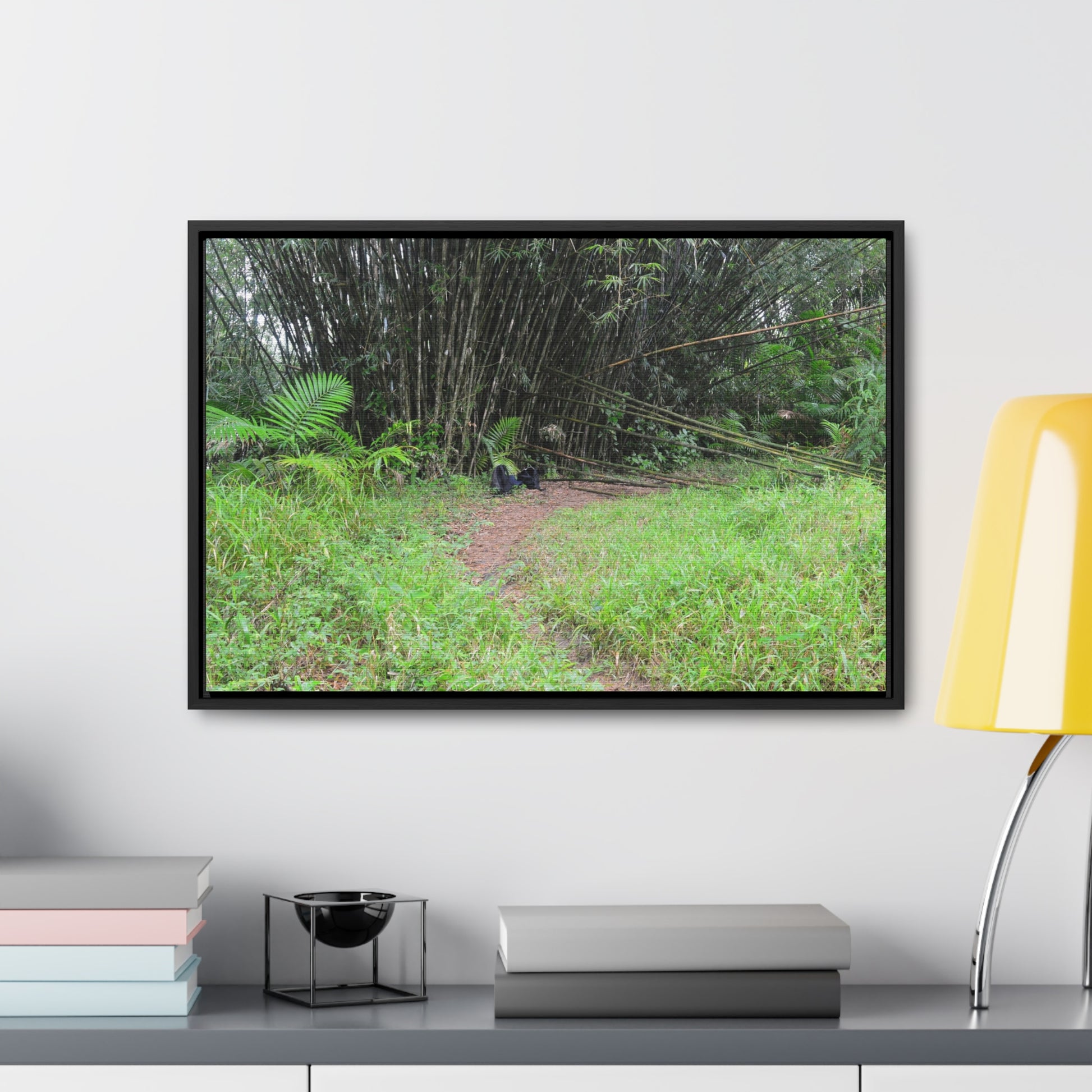 Rainforest Trails & Views - Gallery Canvas Wraps, Horizontal Frame - El Yunque National Forest - Puerto Rico - Path in camping zone near peaks - Green Forest Home