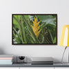 Rainforest Trails & Views - Gallery Canvas Wraps, Horizontal Frame - El Yunque National Forest - Puerto Rico - Awesome tropical flower - Heliconias