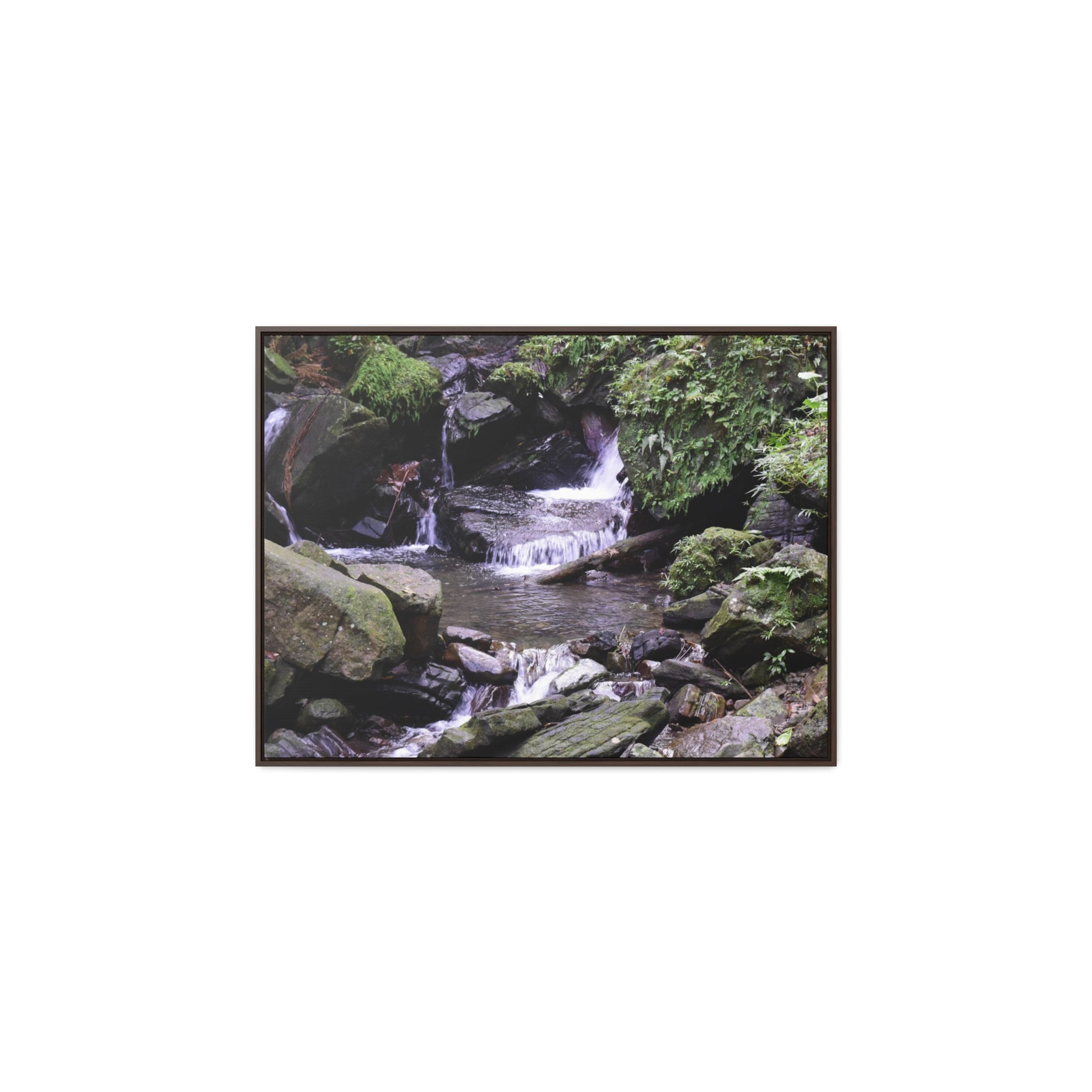 Rainforest Trails & Views - Gallery Canvas Wraps, Horizontal Frame - El Yunque National Forest - Puerto Rico - Juan Diego Trail & River - Green Forest Home