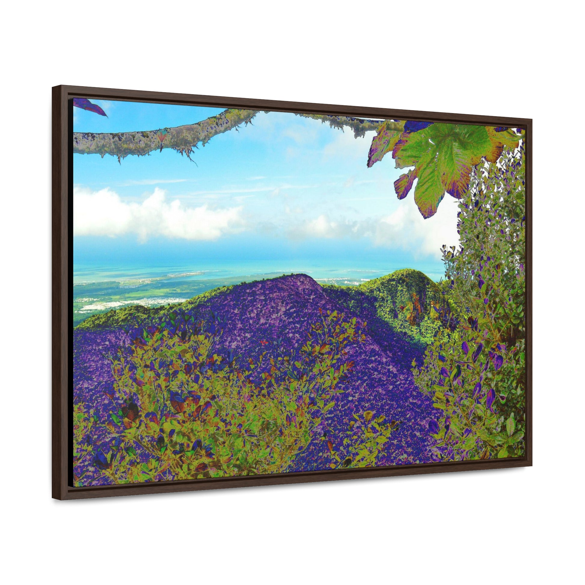 Rainforest Trails & Views - Gallery Canvas Wraps, Horizontal Frame - El Yunque National Forest - Puerto Rico - View from Tres Picachos - color enhanced - Green Forest Home