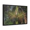 Rainforest Trails & Views - Gallery Canvas Wraps, Horizontal Frame - El Yunque National Forest - Puerto Rico - A close view of the Sierra Palm tree