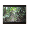 Rainforest Trails & Views - Gallery Canvas Wraps, Horizontal Frame - El Yunque National Forest - Puerto Rico - Early Tradewinds trail - Green Forest Home