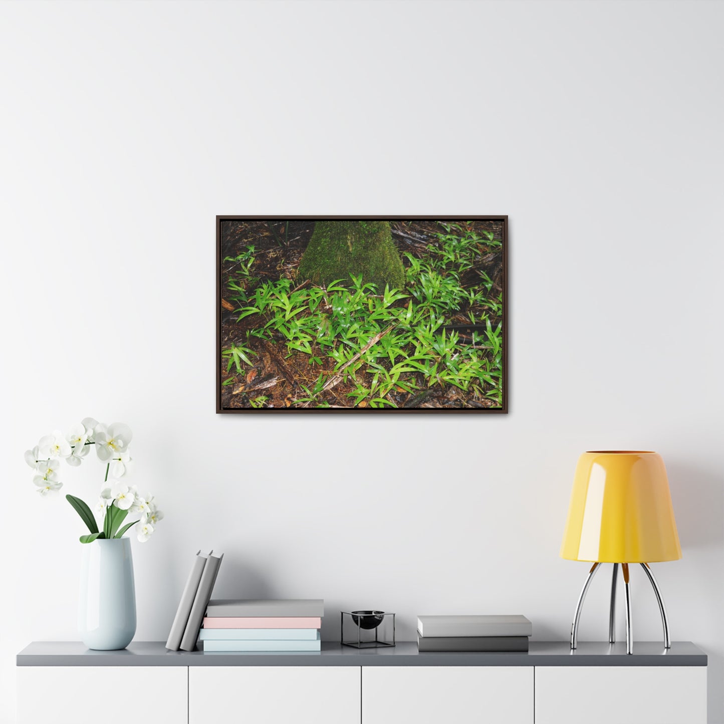 Rainforest Trails & Views - Gallery Canvas Wraps, Horizontal Frame - El Yunque National Forest - Puerto Rico - The tender Sierra Tree Palm protects here babies plants in the shade below