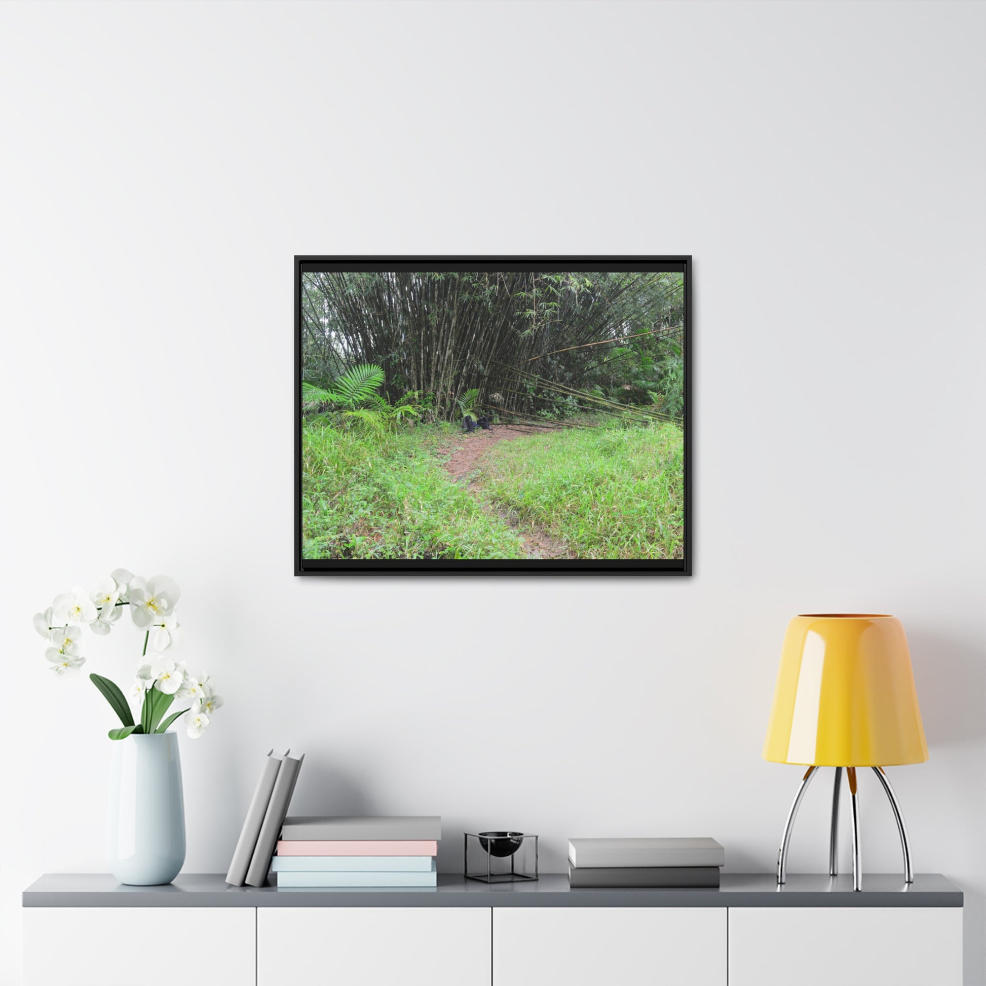 Rainforest Trails & Views - Gallery Canvas Wraps, Horizontal Frame - El Yunque National Forest - Puerto Rico - Path in camping zone near peaks - Green Forest Home