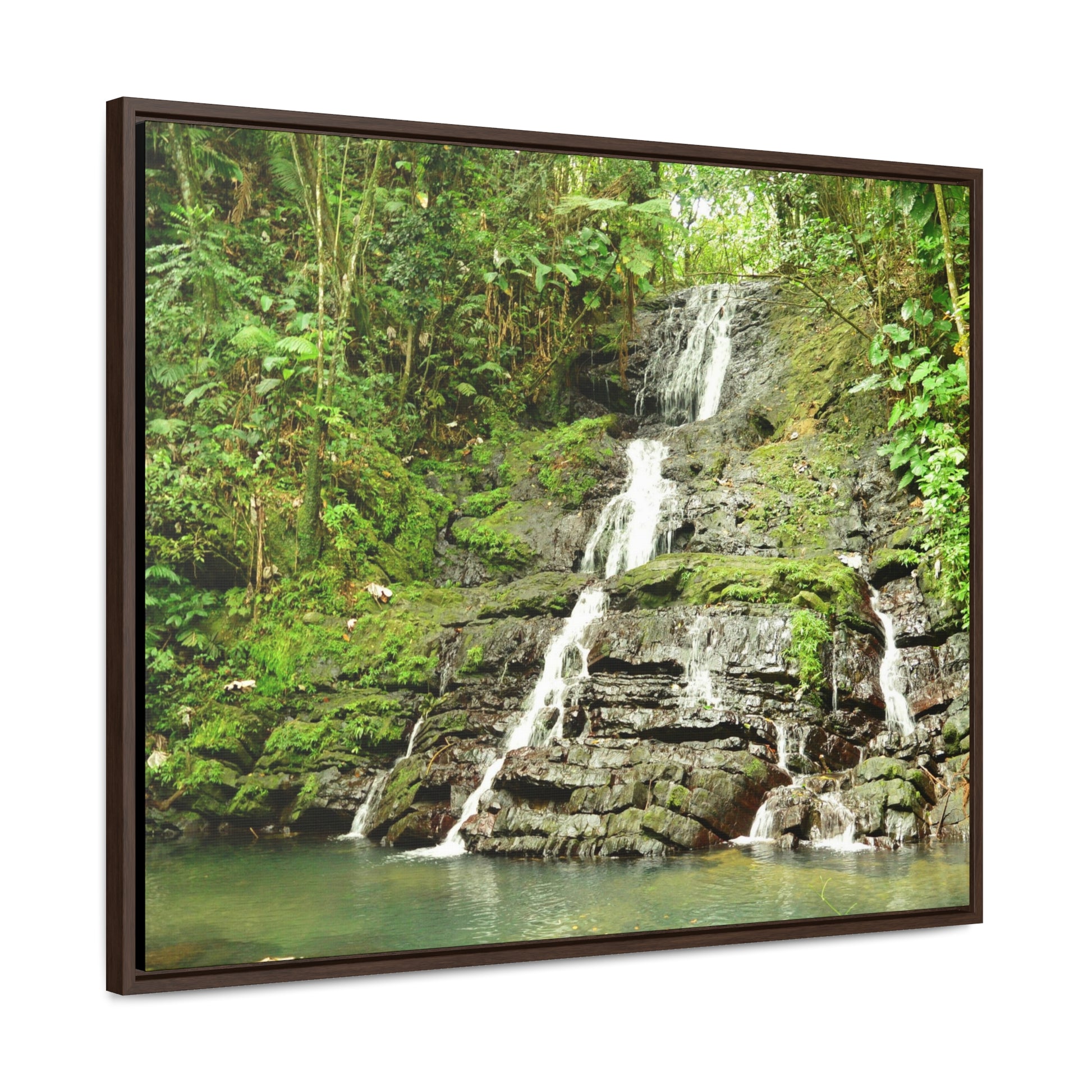 Rainforest Trails & Views - Gallery Canvas Wraps, Horizontal Frame - El Yunque National Forest - Puerto Rico - View from La Coca Trail - Green Forest Home