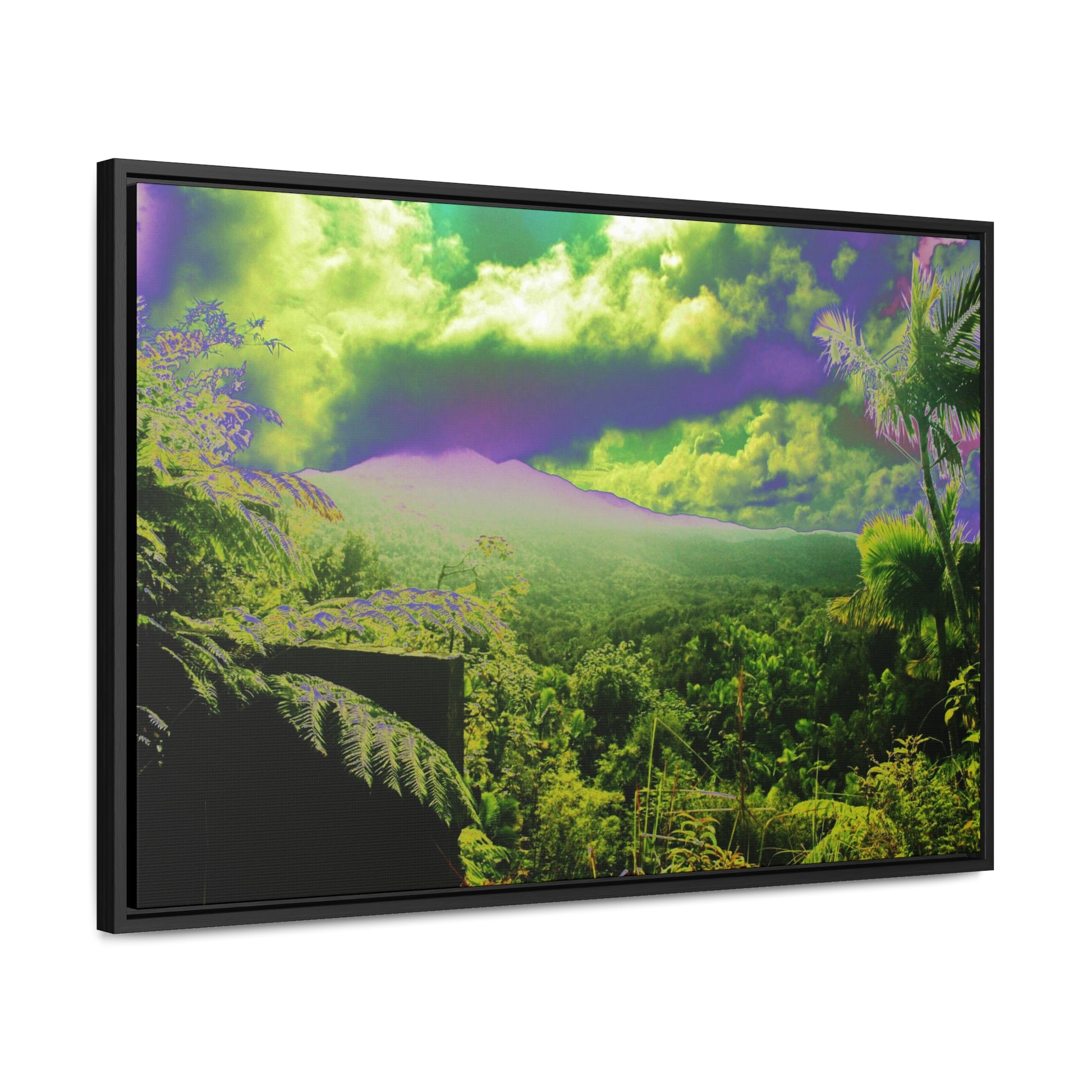 Rainforest Trails & Views - Gallery Canvas Wraps, Horizontal Frame - El Yunque National Forest - Puerto Rico - Closed PR 191 road view - color enhanced - Green Forest Home