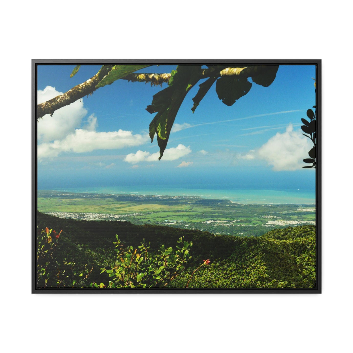 Rainforest Trails & Views - Gallery Canvas Wraps, Horizontal Frame - El Yunque National Forest - Puerto Rico - View from Tres Picachos - El Yunque Trail - Green Forest Home