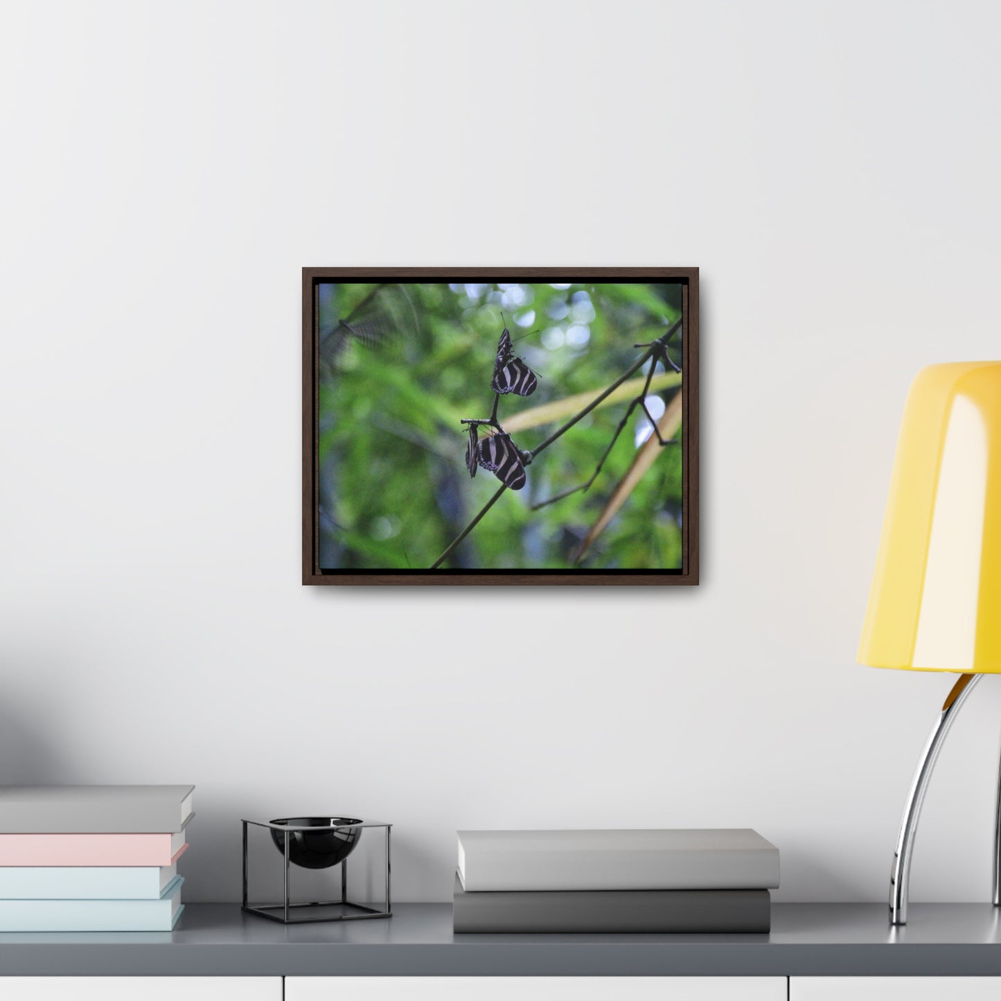 Rainforest Trails & Views - Gallery Canvas Wraps, Horizontal Frame - El Yunque National Forest - Puerto Rico - Butterflies dance in the forest