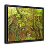 Rainforest Trails & Views - Gallery Canvas Wraps, Horizontal Frame - El Yunque National Forest - Puerto Rico - Deep forest explorations - reveal a boulder with 3 Sierra Palm red roots on it seeking the water level