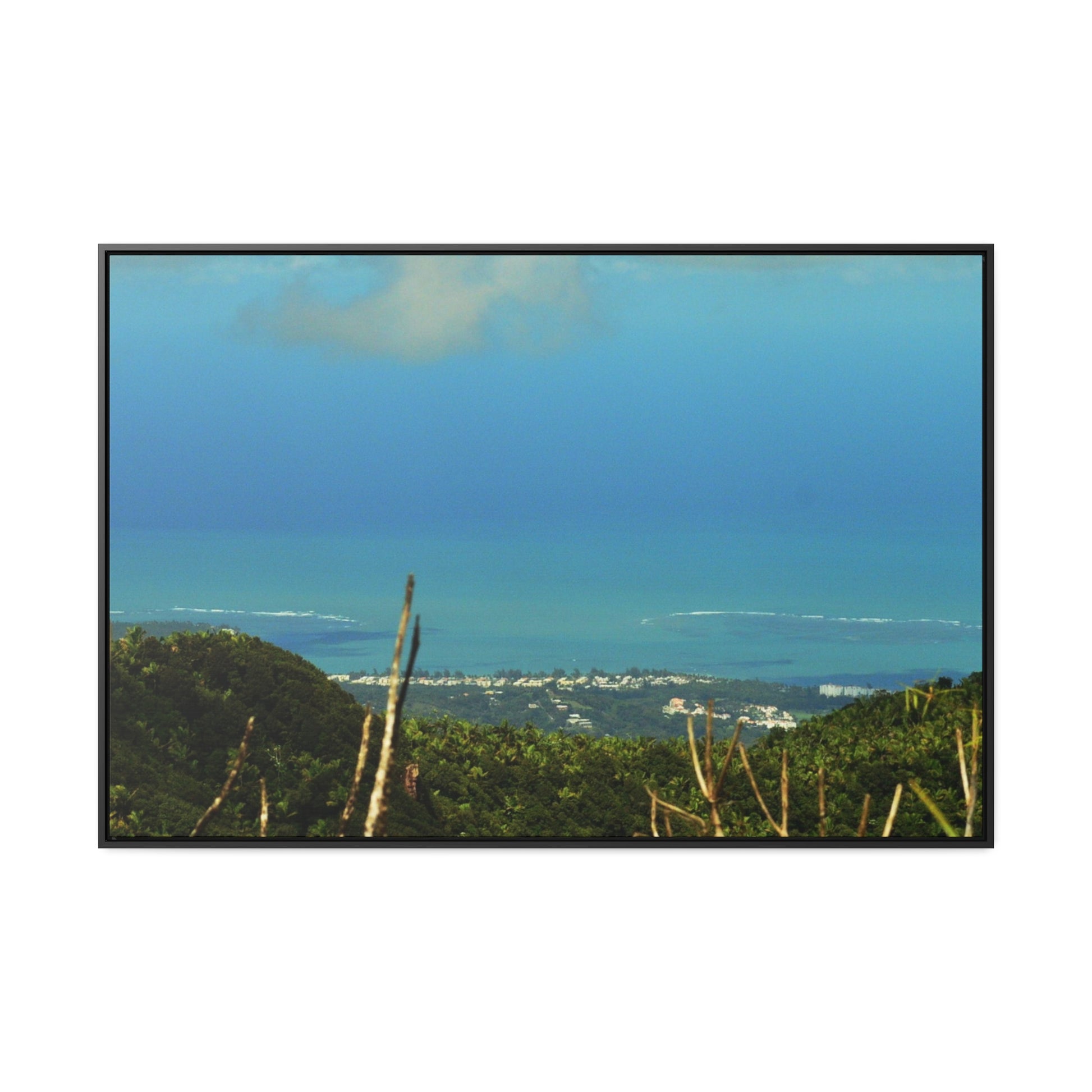 Rainforest Trails & Views - Gallery Canvas Wraps, Horizontal Frame - El Yunque National Forest - PR - Urbanization gets closer - view from Tres Picachos - Green Forest Home